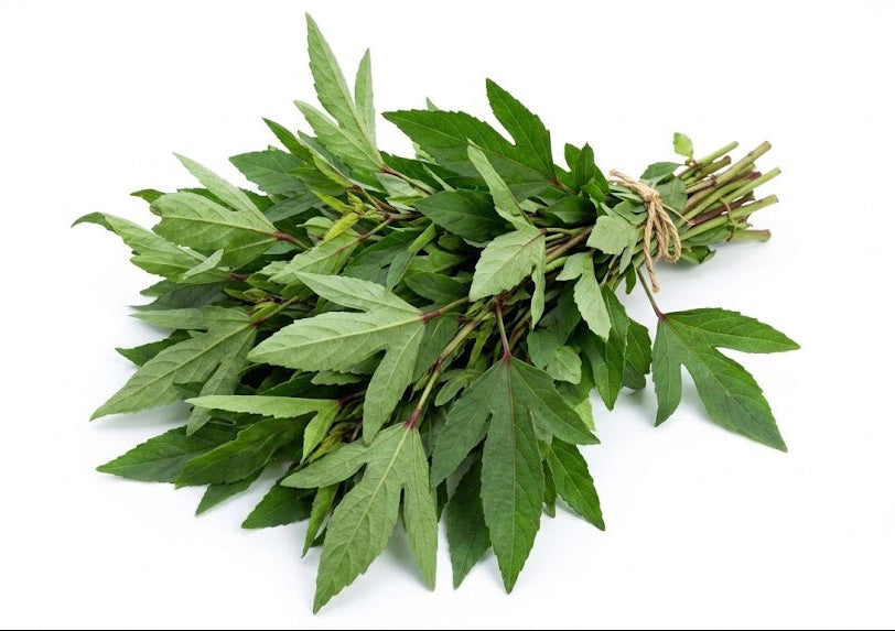 Rosalle / Sorrel / Gongura Leaves ~200g