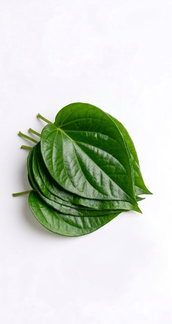 Fresh Betel Leaves - 5 Pieces