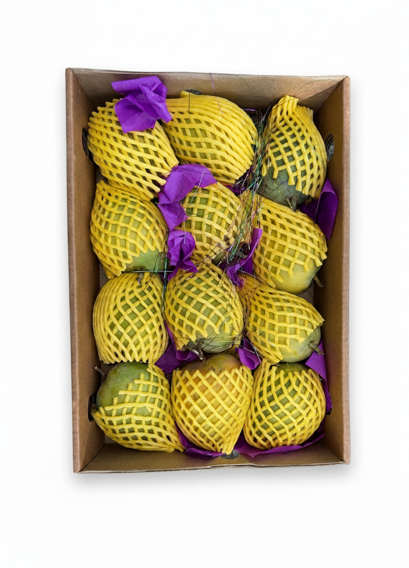 Fresh Alphonso Mangoes 12 piece Jumbo box ~(3.9kg - 4.1kg)