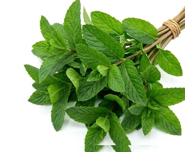 Fresh Mint /Pudina -1 bunch (ony local delivery)