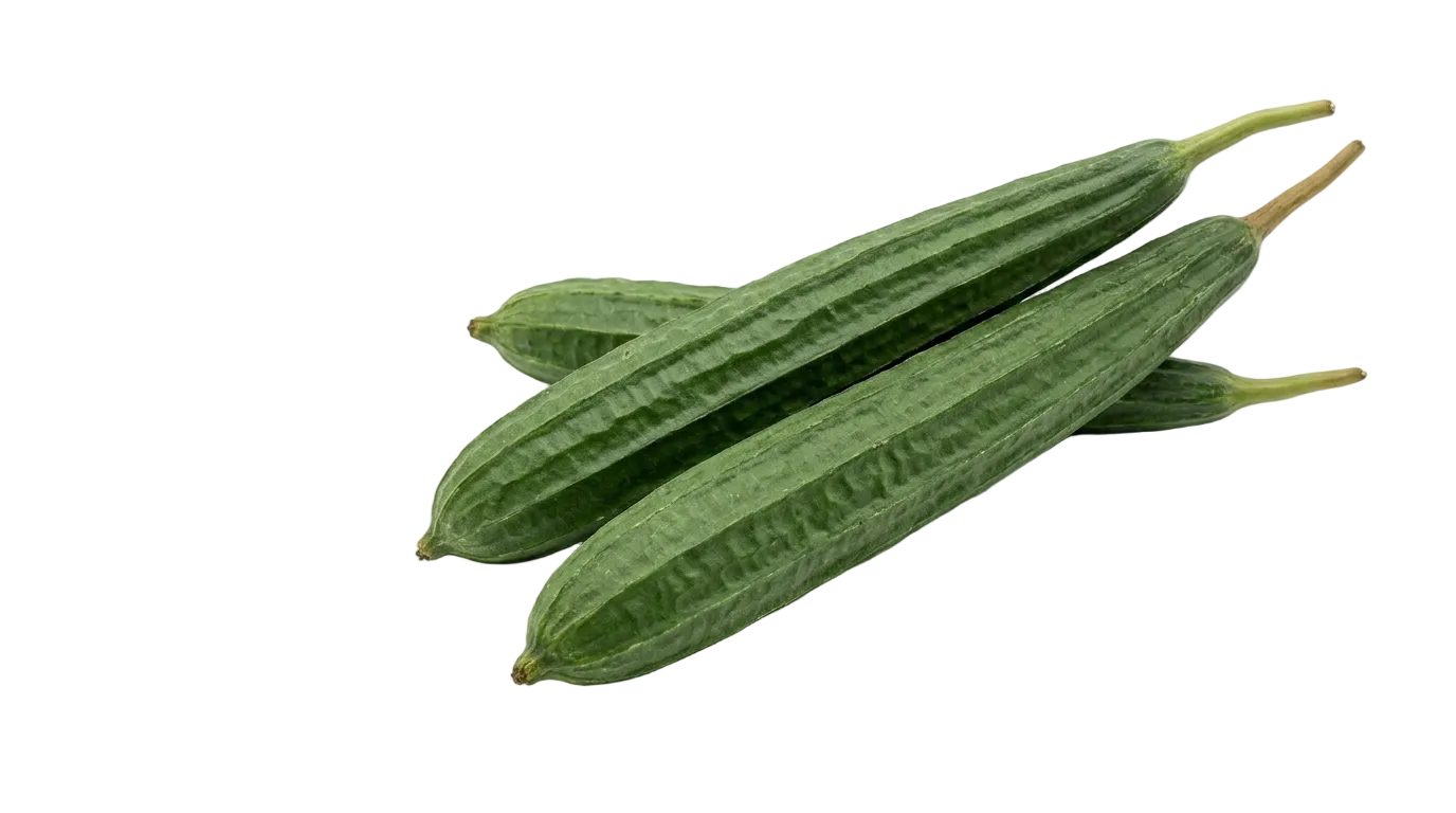 Ridge Gourd / Turai - 500g